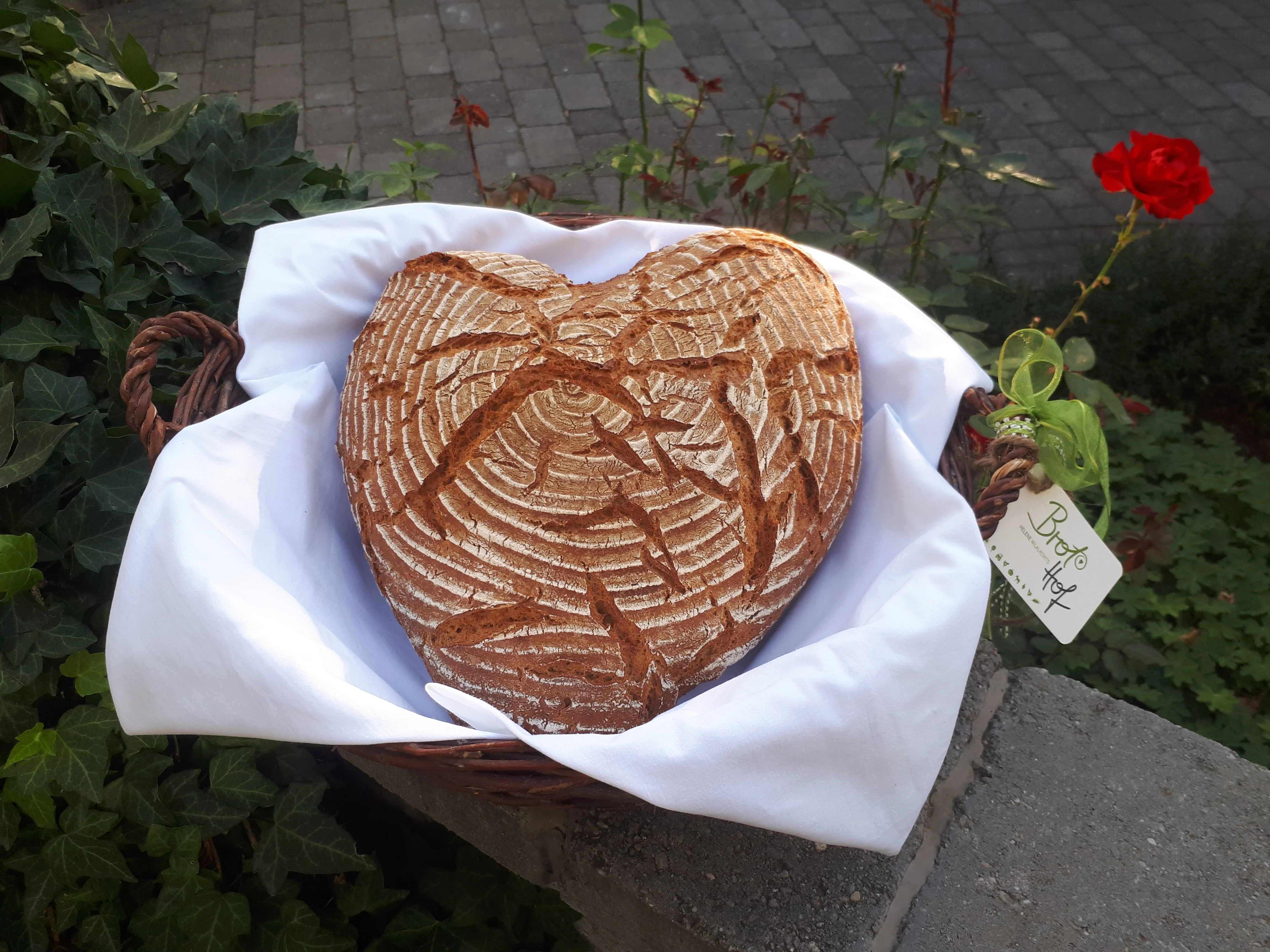 Frisches Brot von Brothof Milalkovits 