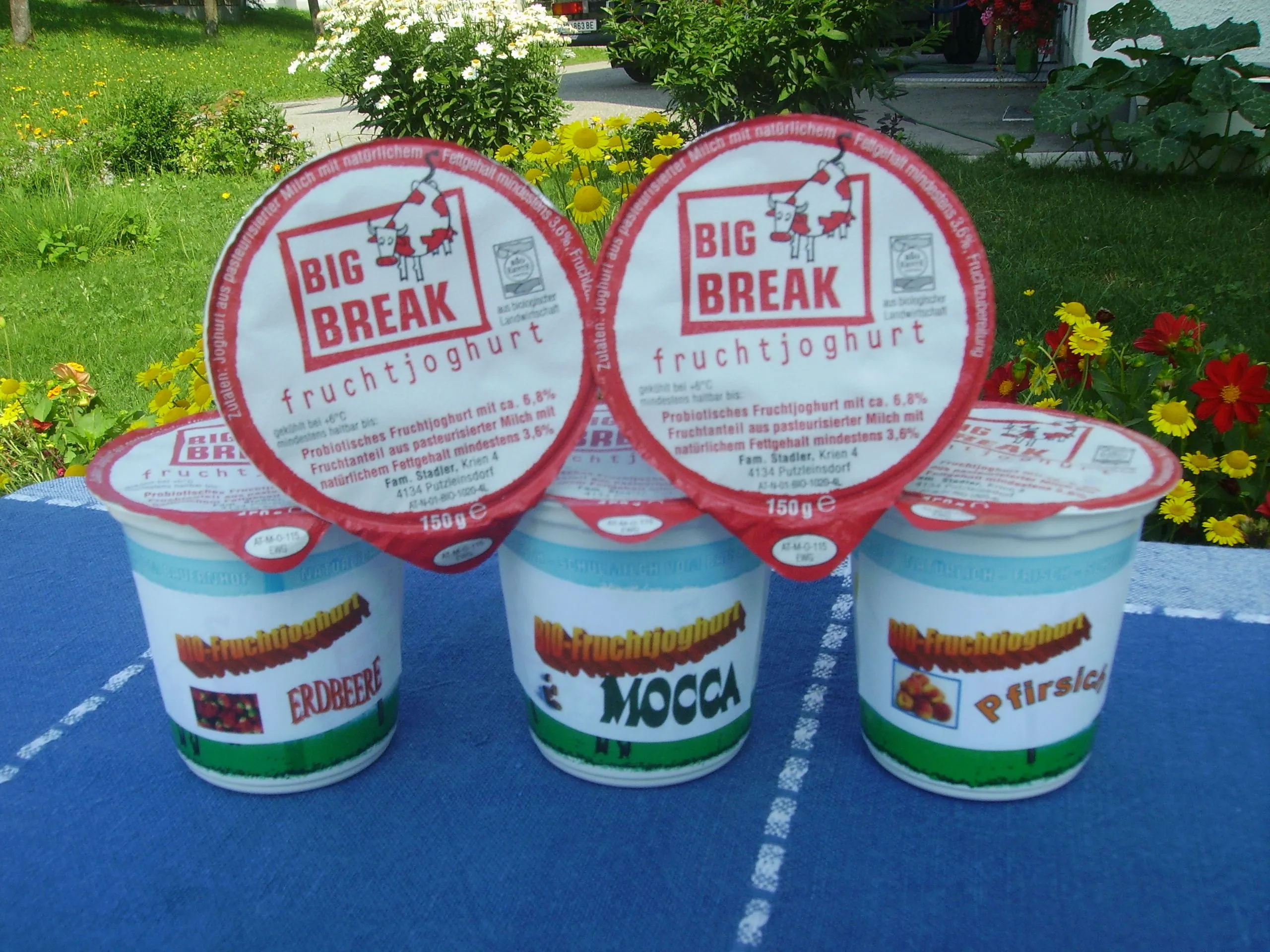 Auf einem Tisch mit blauer Tischdecke stehen drei Becher mit verschiedenem Joghurt, darauf liegen zwei weitere Becher mit Fruchtjoghurt. Dahinter grüne Wiesen, Blumen und Sträucher