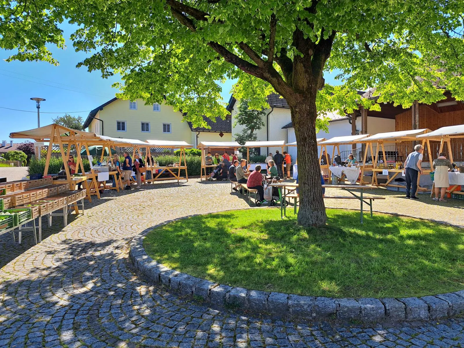 Man sieht in der Mitte einen großen Baum mit Grünfläche, im Halbkreis angeordnet Stände mit verschiedenen Produkten, einige Tische mit Personen, dahinter Häuser und blauer Himmel