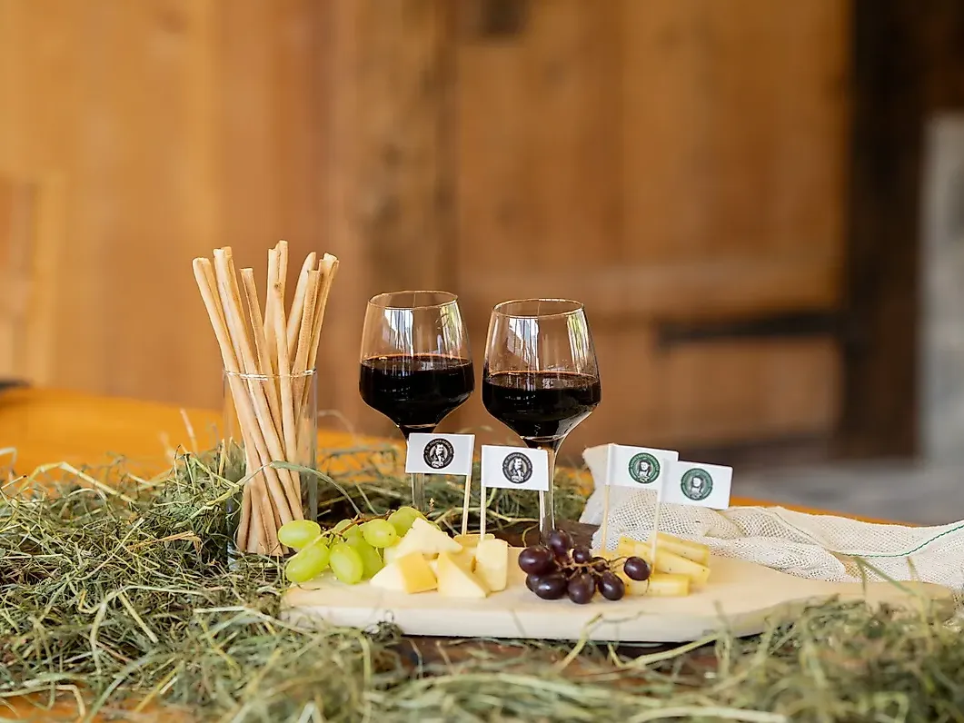 Käse & Wein Genuss
