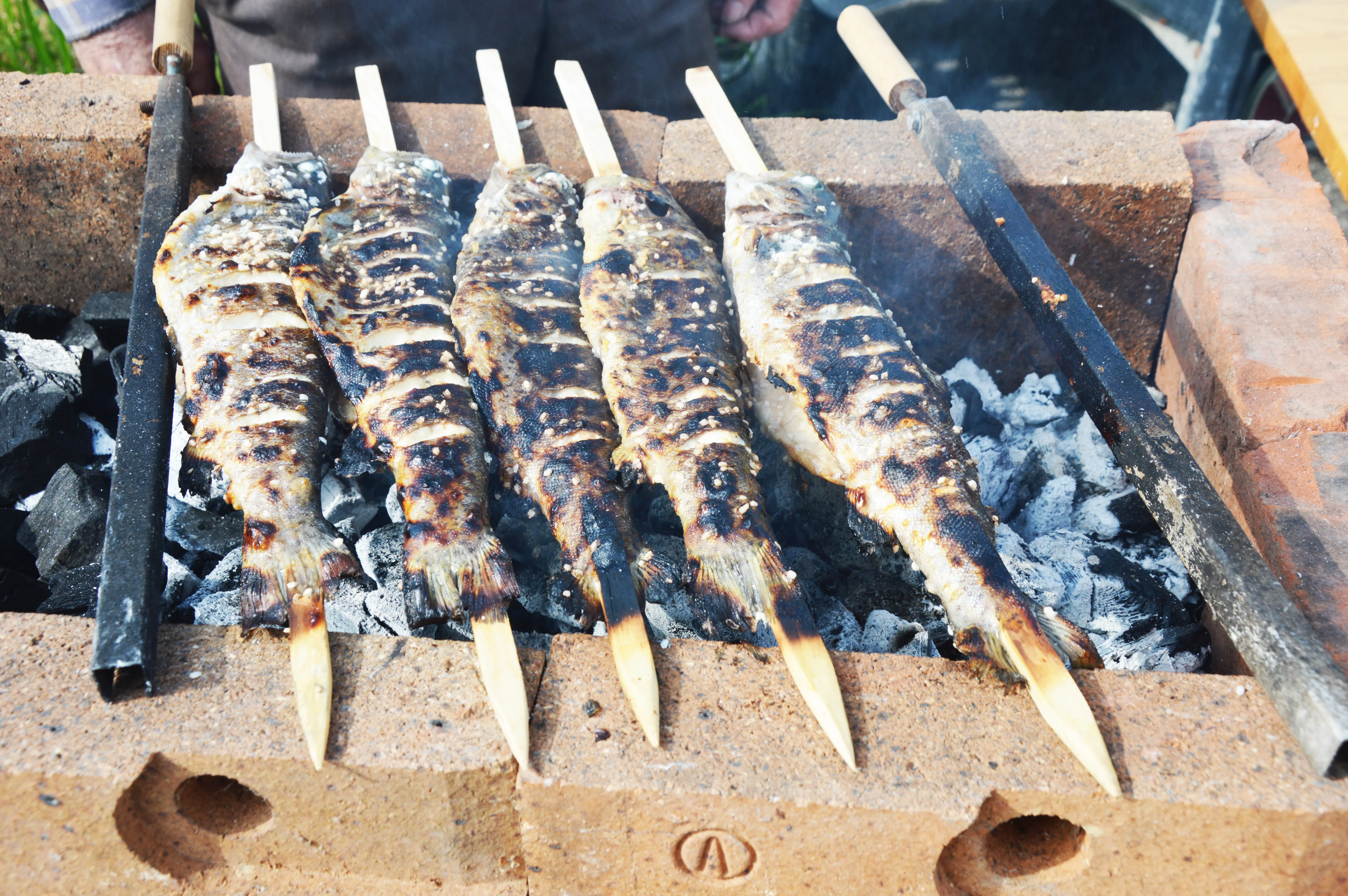 Auf einem Kohlengrill liegen Steckerlfische aneinandergereiht