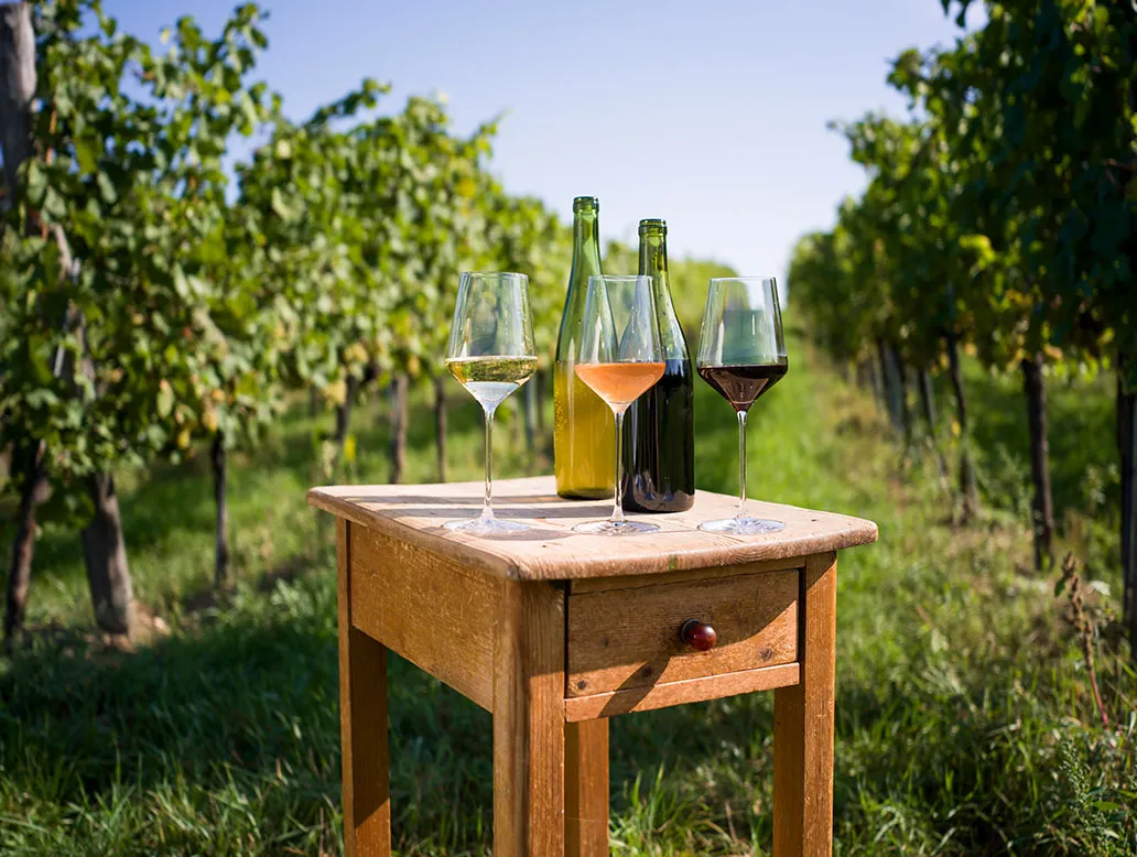 Drei unterschiedliche Weine stehen auf einem Tisch mitten zwischen Weinreben.