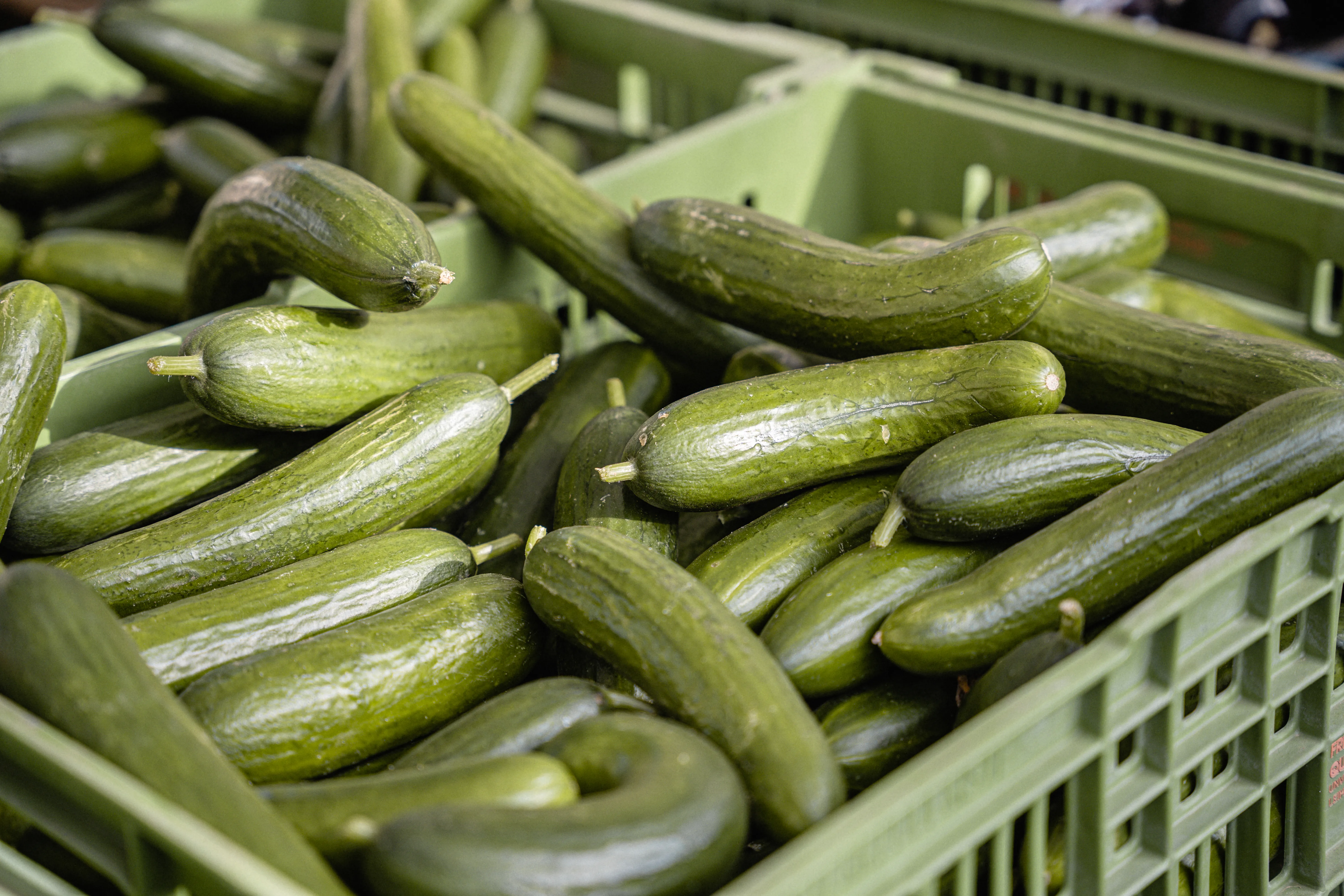Jahrmarkt mit Kirchtag