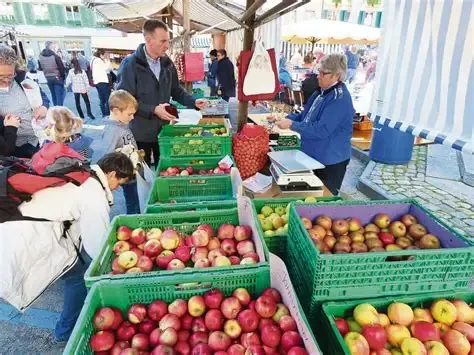 vielfältiger Bauernmarkt