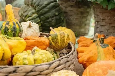 bunter Herbstmarkt