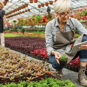 Frau mit grauem Hemd und brauner Schürze hockt in Gewächshaus und hält kleinen Topfpflanze und Tablet, umgeben von verschiedenen Pflanzen.