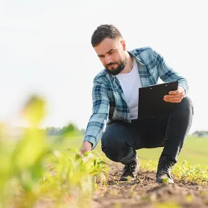 Mann in kariertem Hemd hockt auf Acker und untersucht Pflanzen, hält Klemmbrett in der Hand.